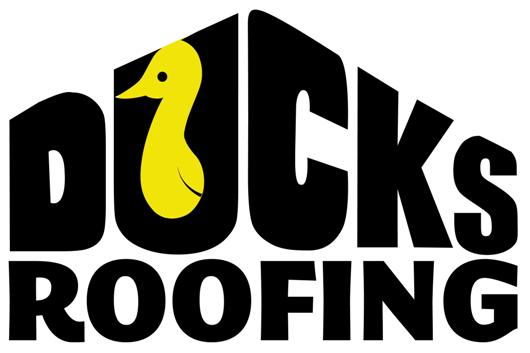 Contact Ducks Roofing Today